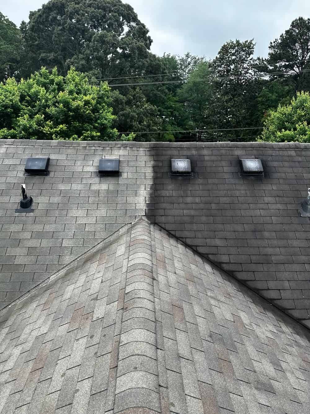 Roof Soft Washing image