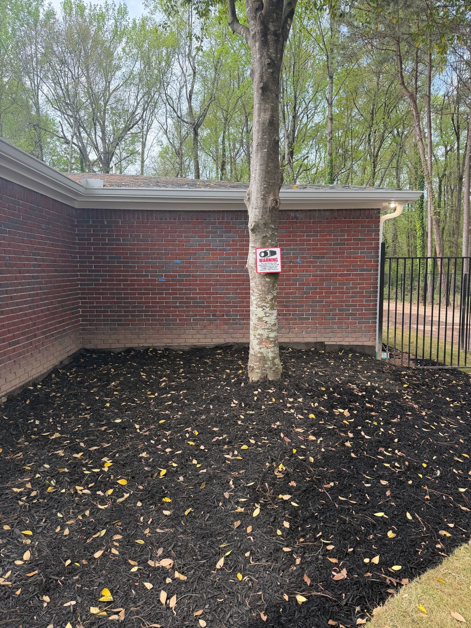 Project Expert Brick Cleaning and Restoration image