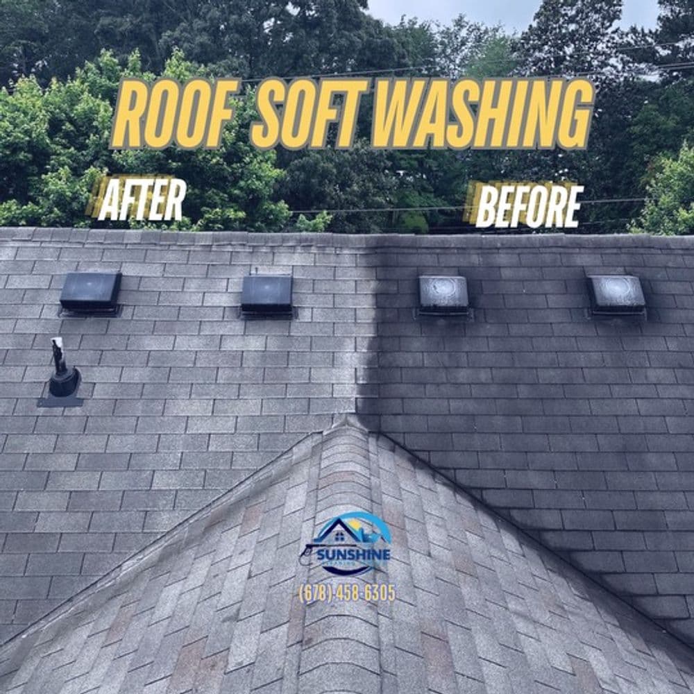 Project Roof Soft Washing image