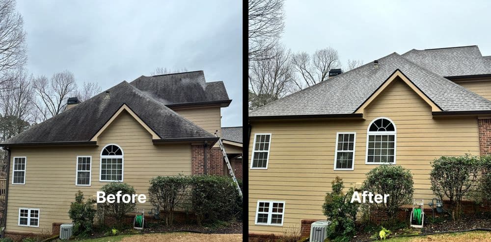 Gallery photos for Roof Soft Washing: Image #4