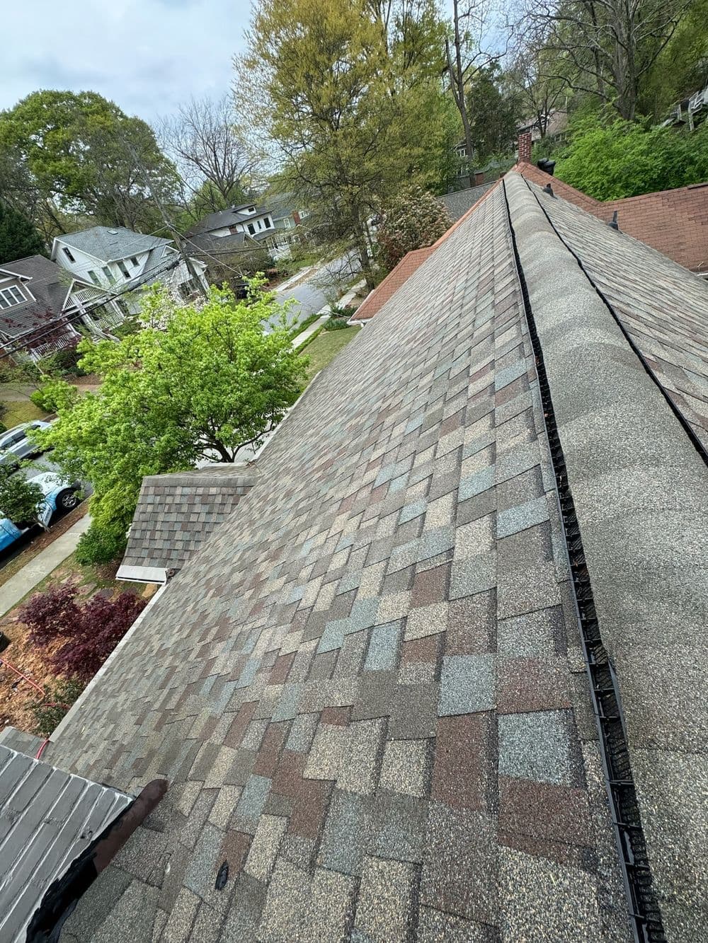 Gallery photos for Roof Soft Washing: Image #6