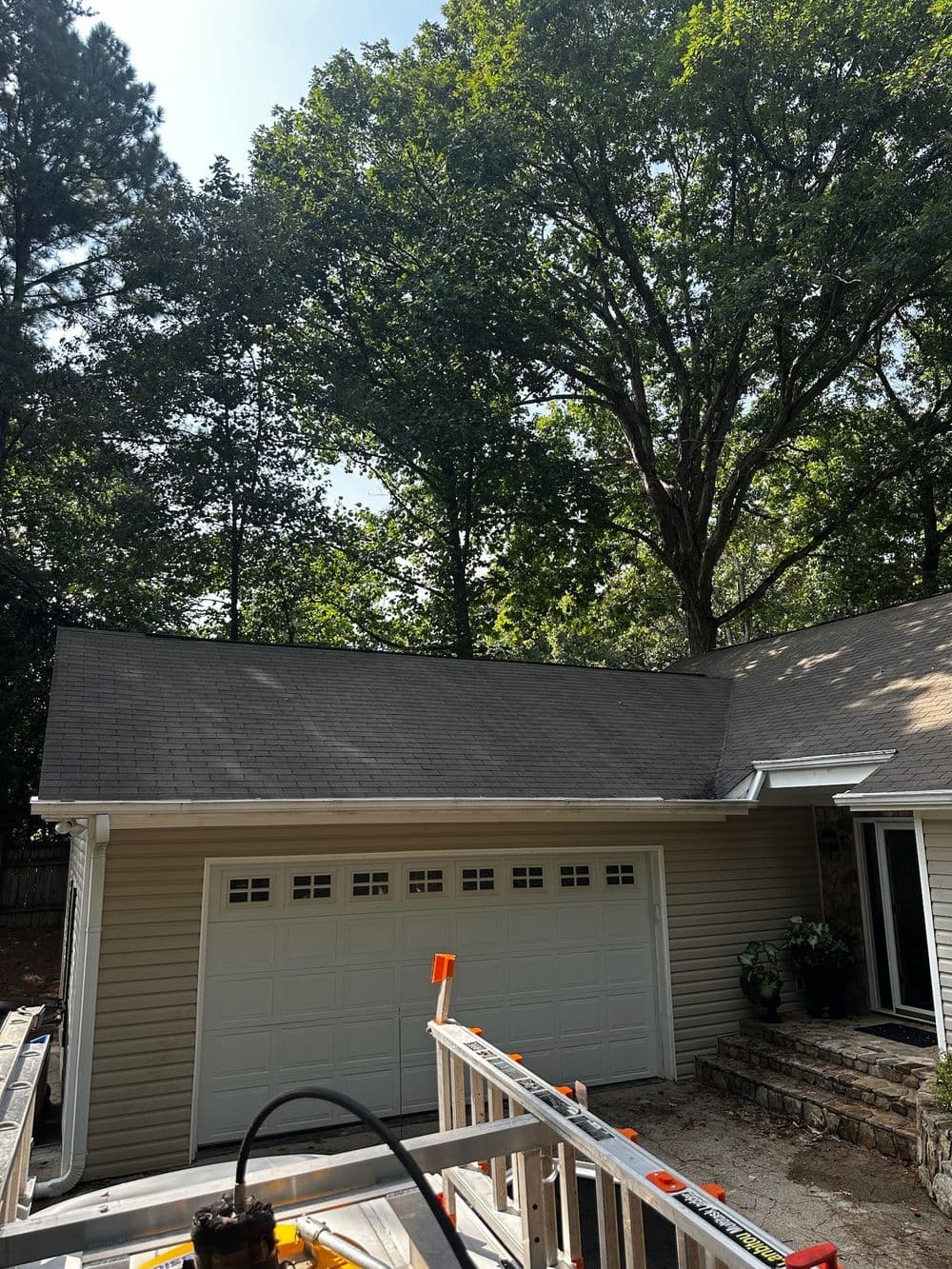 Gallery photos for Roof Soft Washing: Image #8