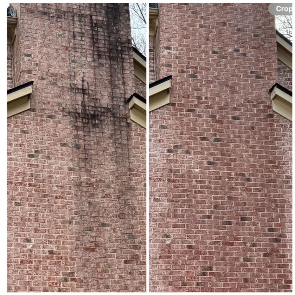 Gallery photos for Soft Wash Before and After: Image #7