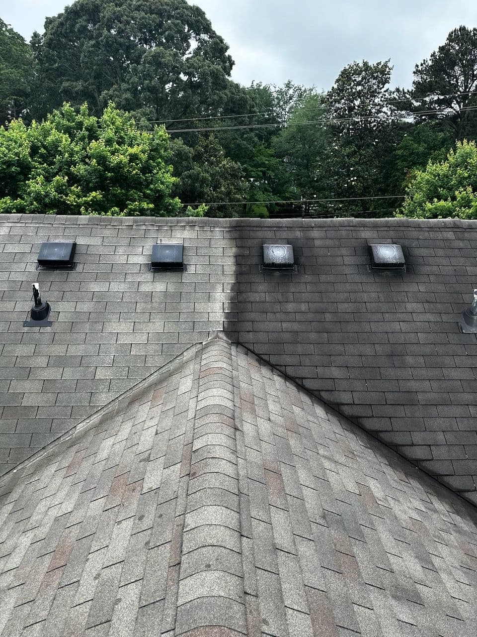 Roof Soft Washing